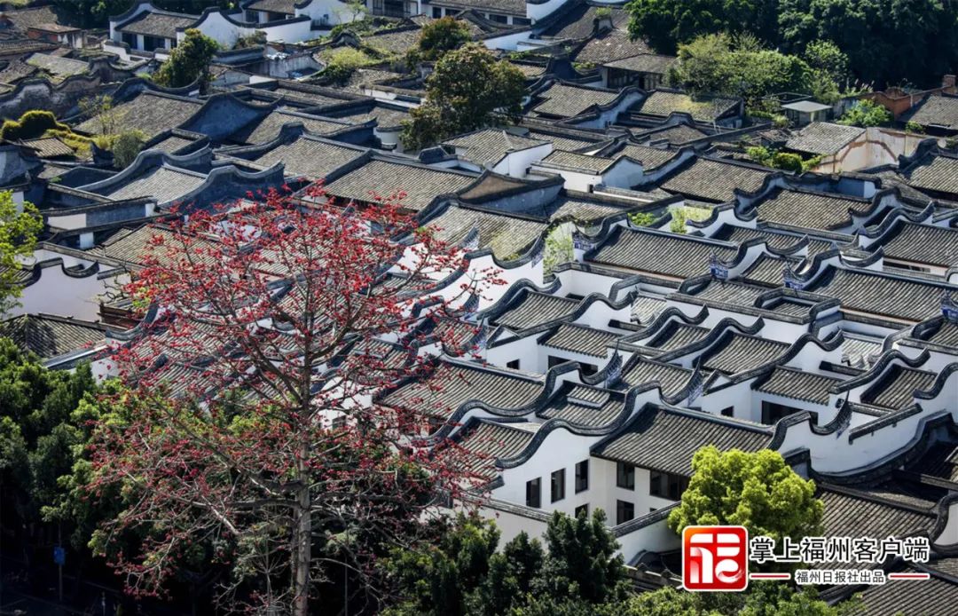 福州城市形象標(biāo)識設(shè)計萬眾期待中 福州城市形象標(biāo)識設(shè)計萬眾期待中